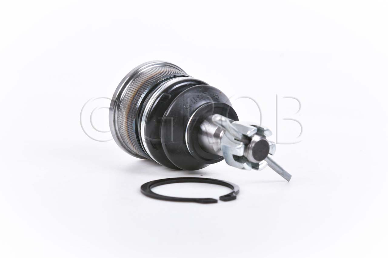 Rotula Inf. Civic 01-05 CRX 01-05