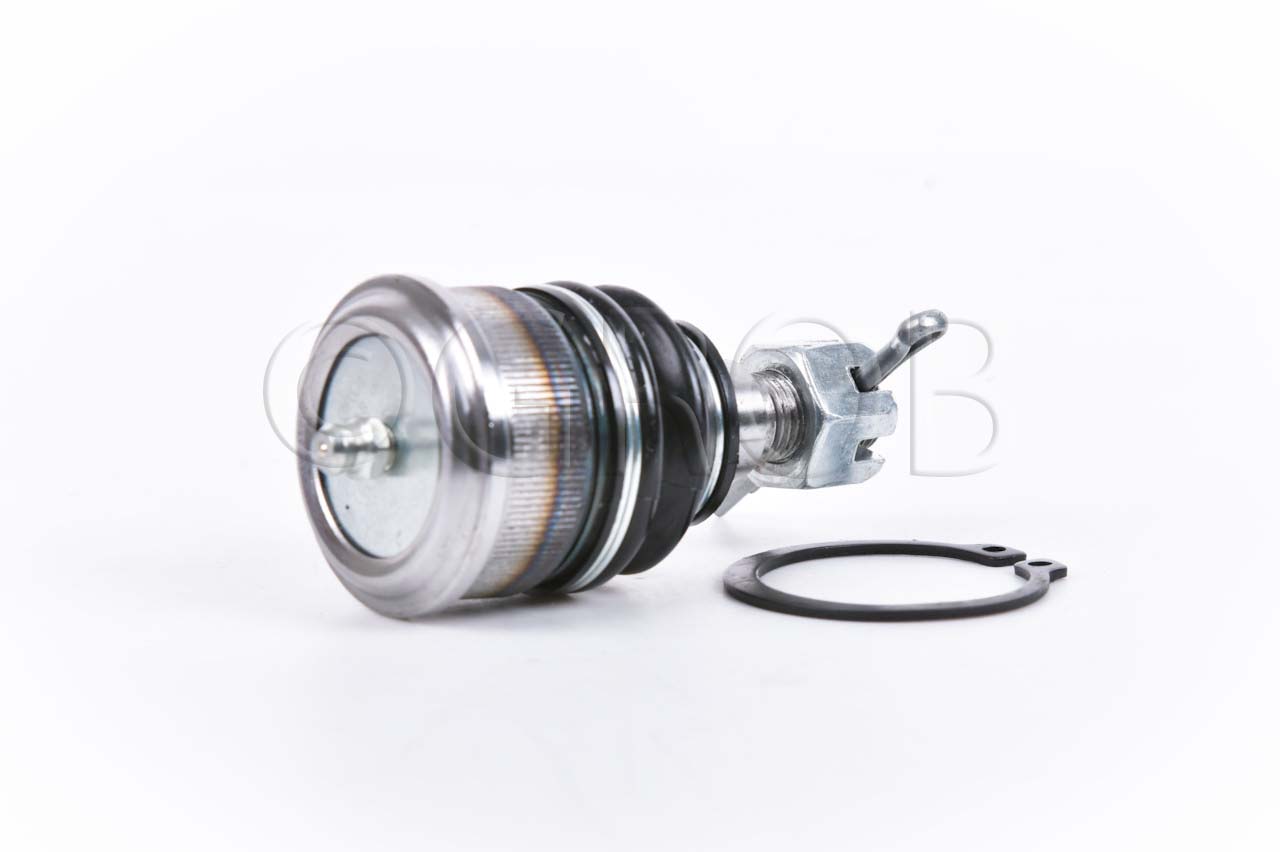 Rotula Inf. Civic 01-05 CRX 01-05