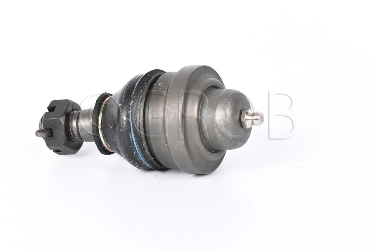Rotula Inf. Celica 71-85 Corolla 75-83 Corona 79-82