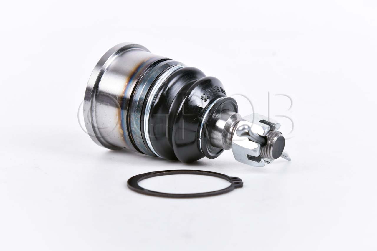 Rotula Inf. CL 97-03 Accord 90-03 Odyssey 95-98 Oasis 90-03