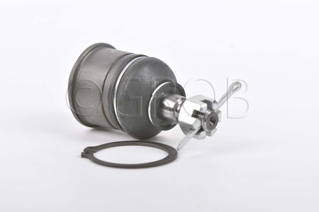 Rotula Inf. Integra 94-01 Civic 92-00 Civic del Sol 94-01 CRX 92-00