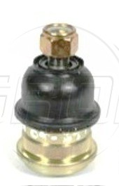 Rotula Inf. Verna 03-09 Accent 95-03