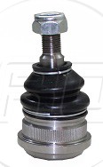Rotula Inf. Verna 03-09 Accent 95-03