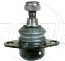 Rotula Inf. X5 00-06