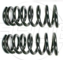 Resorte Del. F-150 97-07 F-150 USA 97-03 F-250 Light Duty 97-99 Lobo 97-03 Navigator 98-02