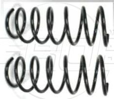 Resorte Del. Platina 02-09 Clio 02-09 Kangoo 02-23