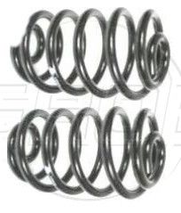 Resorte Tras. Platina 02-09 Clio 02-09 Kangoo 02-23