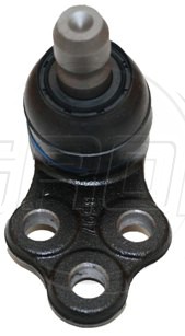 Rotula Inf. Spark 16-21