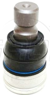 Rotula Inf. Edge 07-14 MKX 07-15 CX-7 07-12 CX-9 07-15