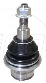 Rotula Del. F-150 4X4 15-19 F-150 USA 15-19