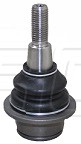 Rotula Inf. Explorer 20-21