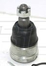 Rotula Inf. Element 03-11