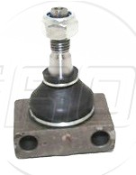 Rotula Inf. Fortwo 02-07