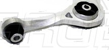 Soporte Motor Tras. Platina 02-10 Clio 02-10 Clio 02-06 Kangoo 04-16