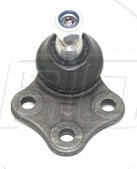 Rotula Inf. Fluence 11-14