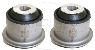 Buje Inf. Platina 02-09 Clio 02-09 Kangoo 02-23