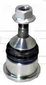 Rotula Inf. Modelo S 11-15
