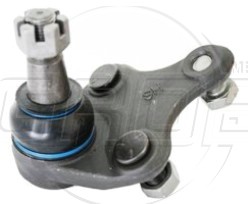 Rotula Inf. Rav 4 06-18