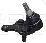 Rotula Inf. Rav 4 06-18