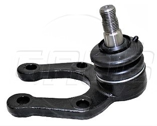 Rotula Inf. T100 93-98
