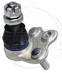 Rotula Inf. Rav 4 19-23