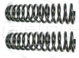 Resorte Del. Ram Wagon 1500 94-04
