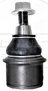 Rotula Inf. Amarok 11-20
