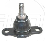 Rotula Inf. Crafter 19-23