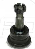 Rotula Sup. D-50 79-80