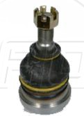 Rotula Inf. Cressida 78-92