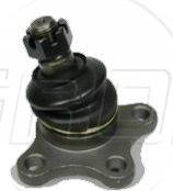 Rotula Inf. D-50 78-81