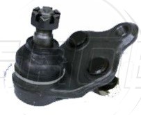 Rotula Inf. Celica 86-89