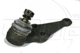 Rotula Inf. Supra 86-92